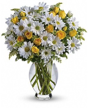 Amazing Daisy Bouquet Cheerful Flower Arrangement