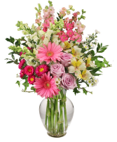 Amazing Day  Summer Flowers