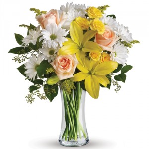 Amber Daisy Just Because Flowers