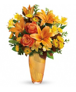 Amber Elegance 