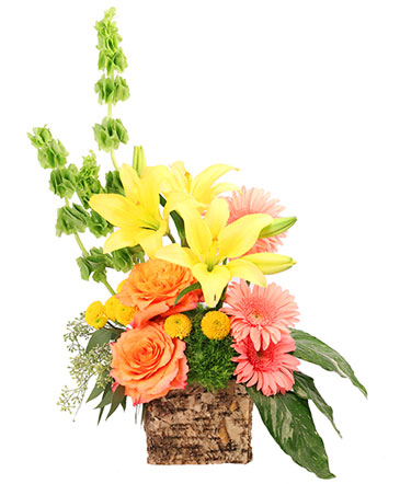 Amber Lilies Floral Design in Gig Harbor, WA | GIG HARBOR FLORIST TM- FLOWERS BY THE BAY LLC