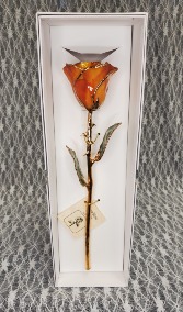 Amber Resin - November Birth Month 