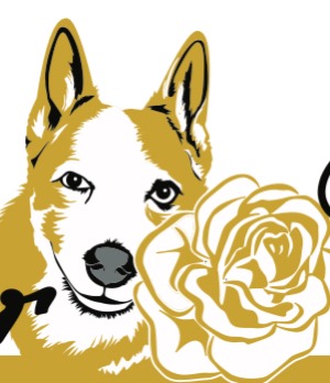Amber's Floral Subscription Service 
