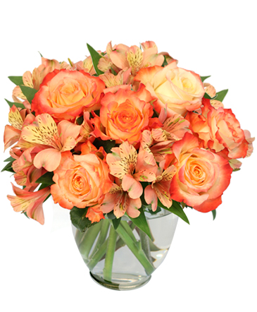 Ambrosia Roses Bouquet in Albany, NY | Ambiance Florals & Events