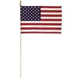 American Flag Stick-in in Croton On Hudson, NY | Marshall's at Cooke's Flowers