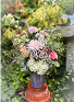 Amethyst Gardens  Garden Cottage Collection