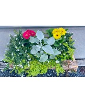 Amish Daisy Cedar Planter Box Spring Planter