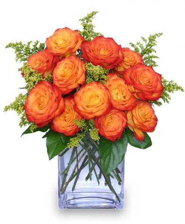 AMOR FUGAZ Arreglo de Rosas color Naranja