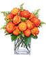 AMOR FUGAZ Arreglo de Rosas color Naranja