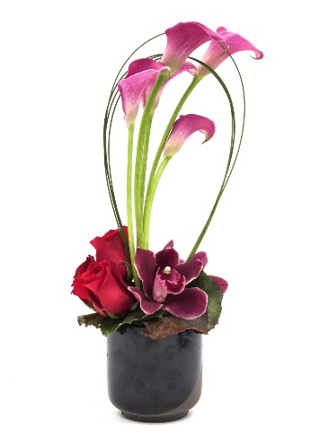 Amor Infinito Every Day in San Juan, PR | ELIKONIA FLOWERS Amor Infinito Every Day in San Juan, PR | ELIKONIA FLOWERS