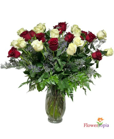 Amor Puro Arreglo de Rosas Tallo Largo in Miami, FL | FLOWERTOPIA