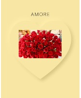 AMORE Roses in vase