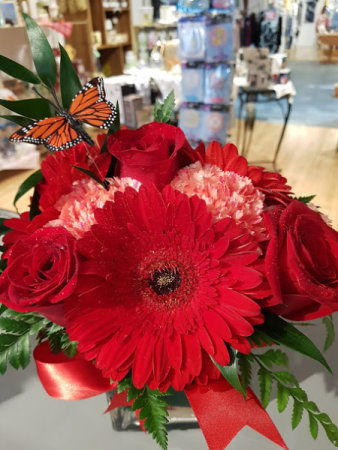 Amour Toujour Red Roses and red Gerberas