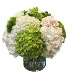 Elegant Hydrangeas A Davis Floral Design