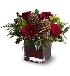 Festive Cube Red or Gold