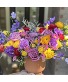 Anarosa Bright 