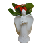 Angel Dish Garden Flowers