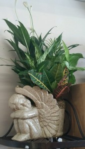 Angel Dish Garden Sympathy Flowers