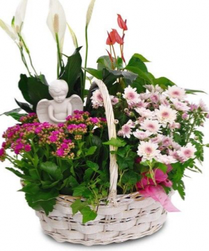 Angel Garden Basket in Ozone Park, NY | Heavenly Florist Angel Garden Basket in Ozone Park, NY | Heavenly Florist