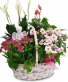 Angel Garden Basket 