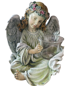 Category Image