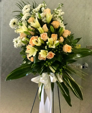 Angel Sympathy White and Orange