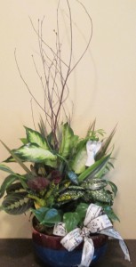 Angel to Watch Over You Dish Garden Green Plant - Inspirations Original Design in Lock Haven, PA | INSPIRATIONS FLORAL STUDIO Angel to Watch Over You Dish Garden Green Plant - Inspirations Original Design in Lock Haven, PA | INSPIRATIONS FLORAL STUDIO