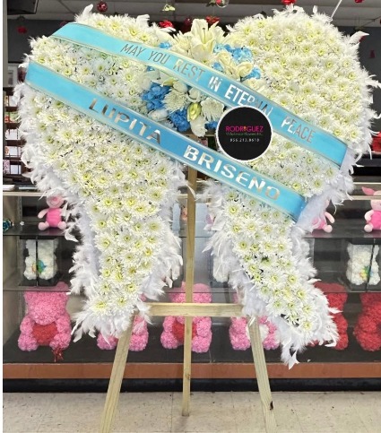 Angel Wings sky blue and white 