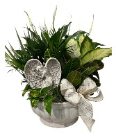 Angelic Dish Garden  Plant Garden 