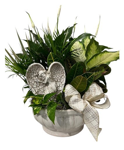 Angelic Dish Garden Plant Garden