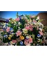 Purchase this funeral home arrangement