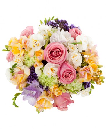 Anna Bouquet