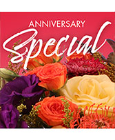 Anniversary Special Designer's Choice in Saskatoon, Saskatchewan | QUINN & KIM'S FLOWERS