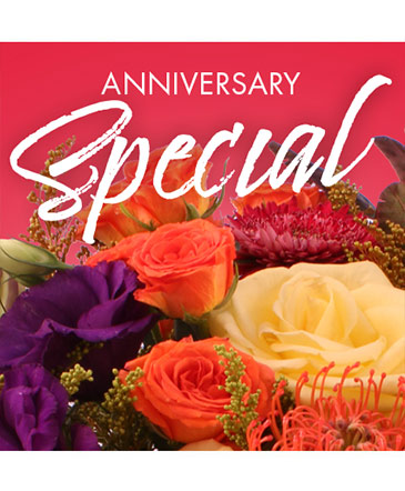 Anniversary Special Designer's Choice in Muscle Shoals, AL | Sunflowers Designs & Garden