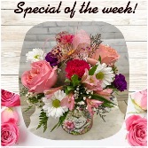 Ann’s Special of The Week!! Tiny Baby Bear Arrangement