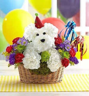 Another Year Rover 