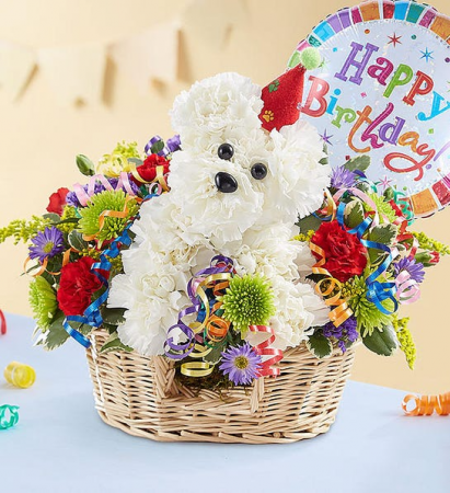 Another Year Rover Birthday Bouquet