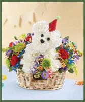 Another Year Rover Best Seller!