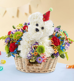 Another Year Rover Now $49.99 Birthday Sale!!! Was $59.99 in Sunrise, FL | FLORIST24HRS.COM Another Year Rover Now $49.99 Birthday Sale!!! Was $59.99 in Sunrise, FL | FLORIST24HRS.COM