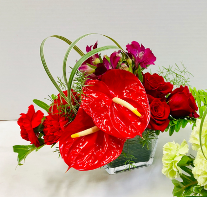 Red Anthurium Heart Valentines