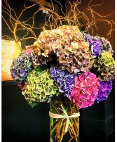 Antique Hydrangea Bouquet 