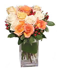 Category Image