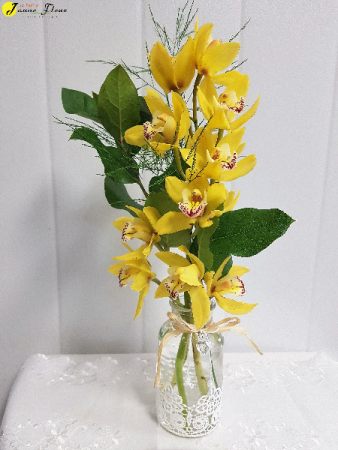 AP-Lacey Perfection orchids come in different sizes