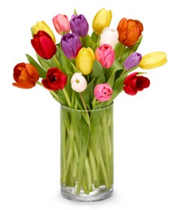 Tulips For You!  in Maplewood, NJ | GEFKEN FLOWERS & GIFT BASKETS