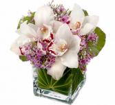 Appreciation Orchids Flowers Under $50 Beautiful bouquets that won't break your budget.