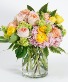 Apricot Daydream 