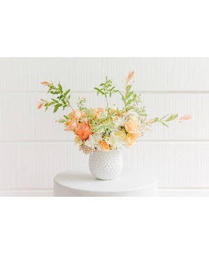 Apricot Glow 