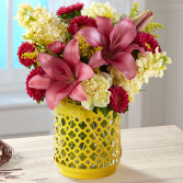 Arboretum bqt by Better Homes & Garden