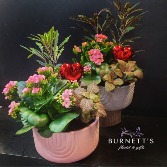 Arches Gerden Planter