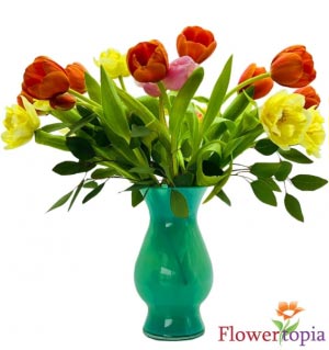 Arco Iris de Tulipanes Bouquet de Tulipanes in Miami, FL | FLOWERTOPIA Arco Iris de Tulipanes Bouquet de Tulipanes in Miami, FL | FLOWERTOPIA